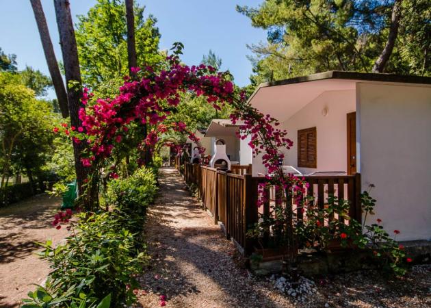 villaggiointernazionale it home 002