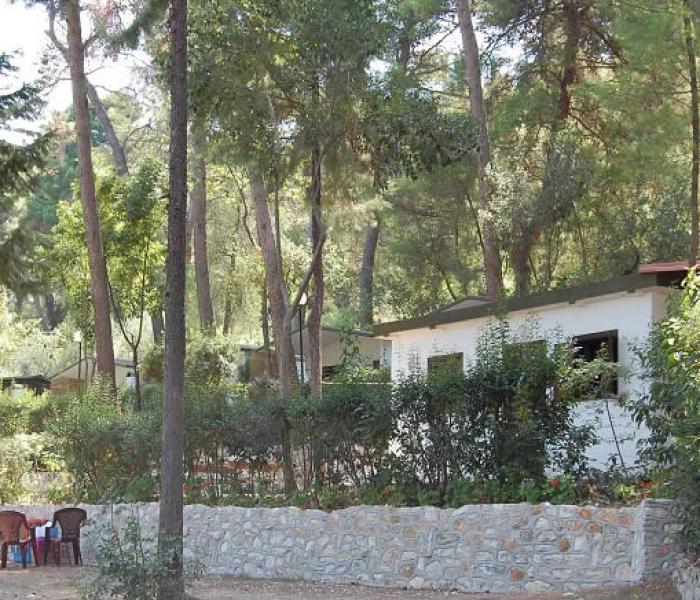 villaggiointernazionale it appartamenti-internazionale 006